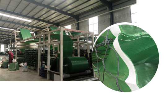 規(guī)模大生產(chǎn)能力強(qiáng)