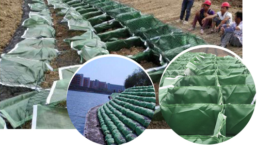 技術(shù)能力強(qiáng)